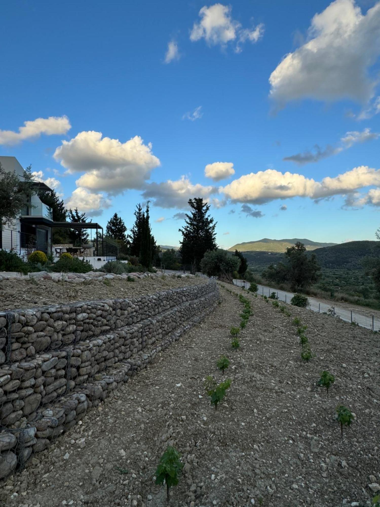 Vasiliki Houses Εξωτερικό φωτογραφία