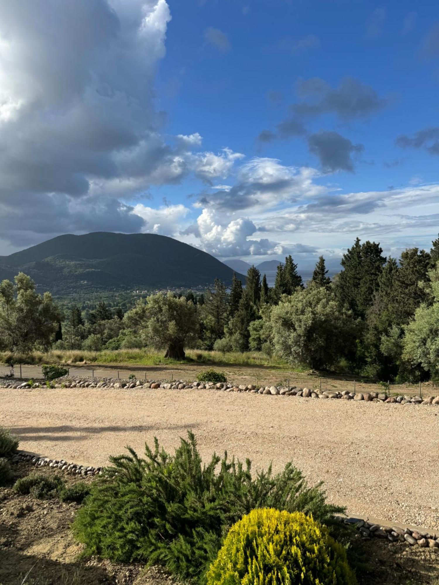 Vasiliki Houses Εξωτερικό φωτογραφία