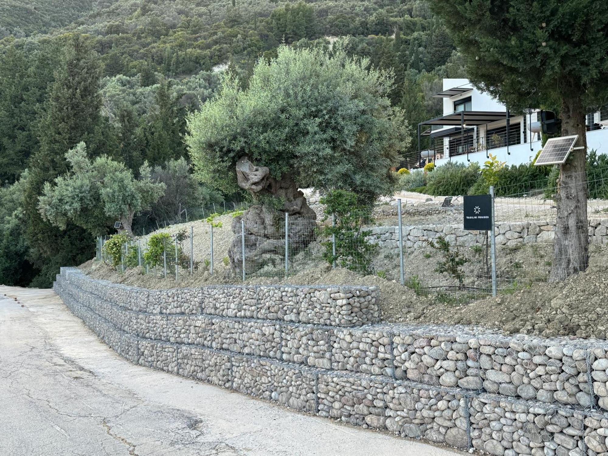 Vasiliki Houses Εξωτερικό φωτογραφία