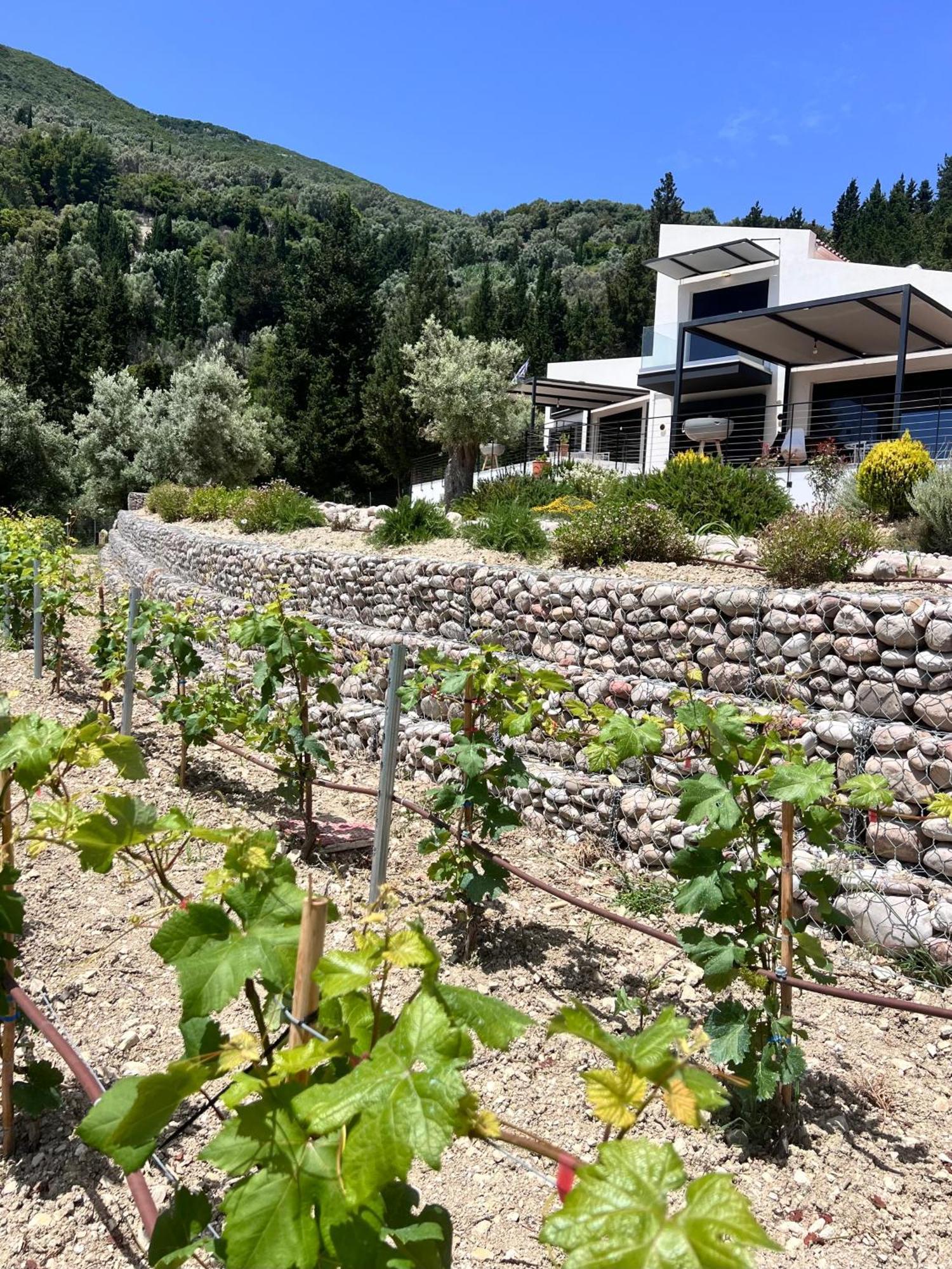 Vasiliki Houses Εξωτερικό φωτογραφία
